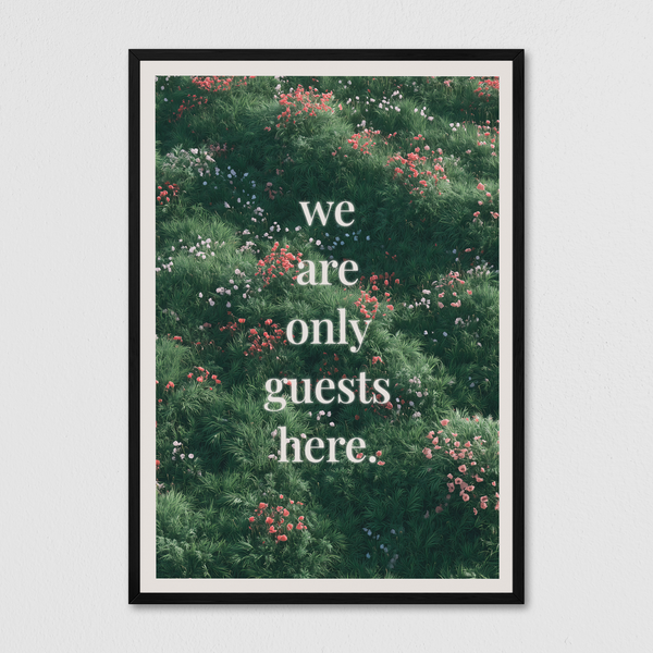 We are only guest here.