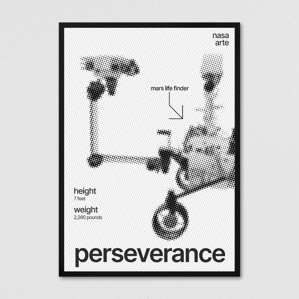 Perseverance