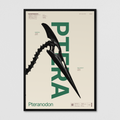 Pteranodon - Beige