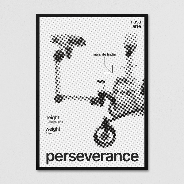 Perseverance