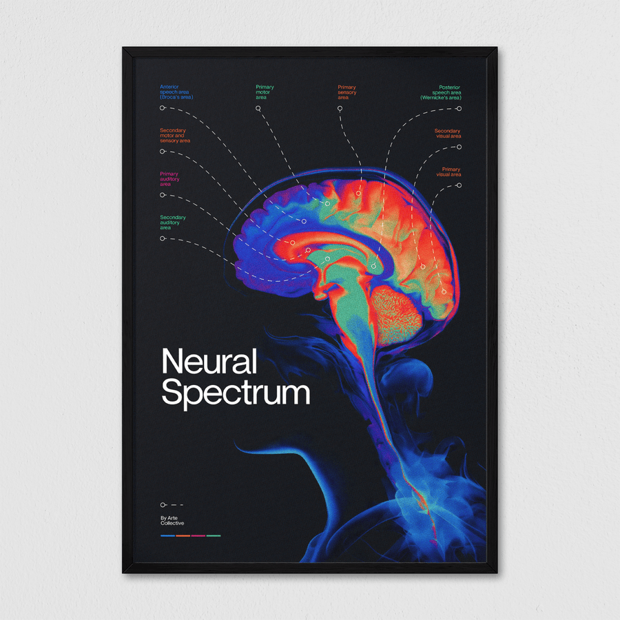 Neural Spectrum - Arte Collective
