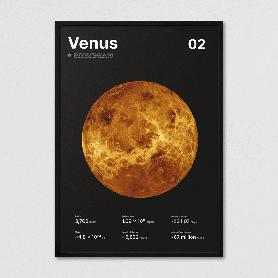 Venus - Arte Collective